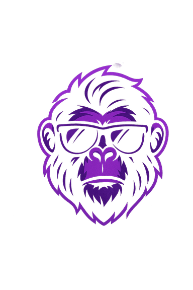 DJ Felloo Logo - Dein DJ für Hannover & Hildesheim